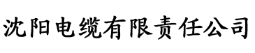 58香蕉久久影院电缆厂logo